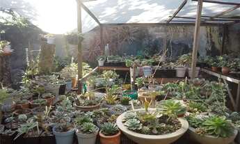 Imagem 3: Casa a venda em santissimo