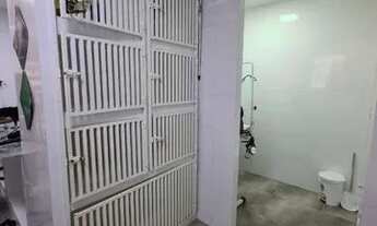 Imagem 4: Petshop em Águas Claras - Ponto comercial com estrutura