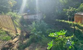 Imagem 2: Lote jardim de hala Cariacica