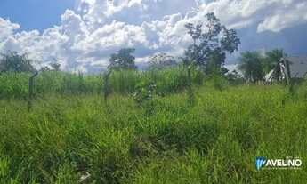 Imagem 7: Area Cônsul Assaf Trad