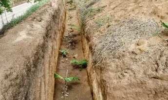 Imagem 7: Vendo Lote na chegada de Vila Pavão com 5 mil metros