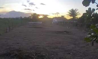 Imagem 5: Terreno 12.50x por 60