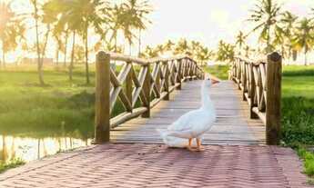 Imagem 3: Terreno em condomínio de Alto Padrão Damha Residence. Barra dos Coqueiros- Sergipe
