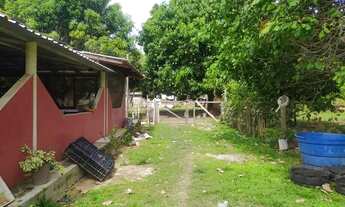 Imagem 4: CHÁCARA Á 20KM DE BOA VISTA BR174