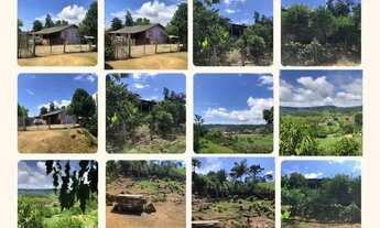 Imagem 6: Vende ou troca-se mini sítio em presidente Getúlio