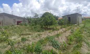 Imagem: Terreno 30x60 em Luziápolis/Campo alegre