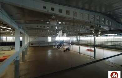 Imagem 5: Salão/Galpão (salão - térreo