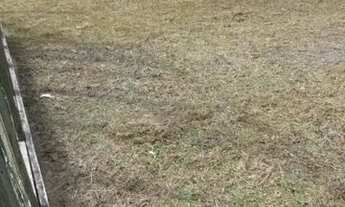 Imagem 7: Casa na Praia em Arroio Teixeira