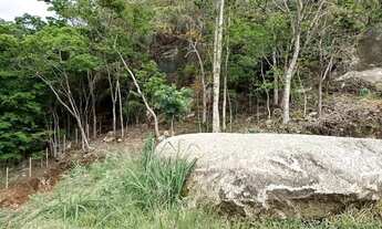 Imagem 3: Vendo Lote na chegada de Vila Pavão com 5 mil metros