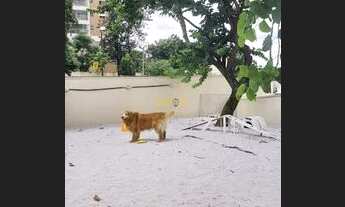 Imagem 3: Apartamento em Campestre - Santo André