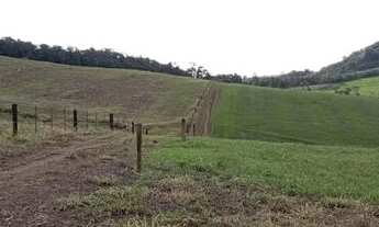 Imagem 6: 40 alqueires 30 lavoura Ivaí -PR