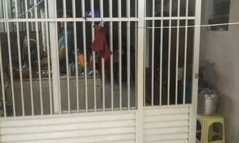 Imagem 3: Vendo casa no bairro terra nova