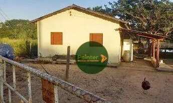 Imagem 5: Chácara com 2 dormitórios à venda, 20000 m² por R$ 550.000.000 - Zona Rural - Uruana/GO