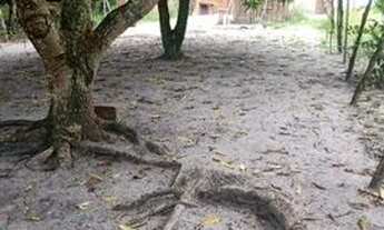 Imagem: Vende-se una casa em Camaçari