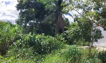 Imagem 5: Chácara com casa