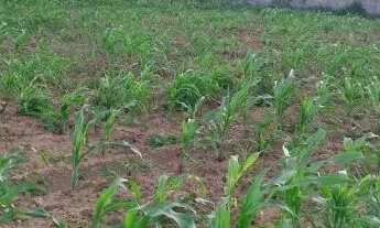 Imagem 5: 1 Tarefa de terra