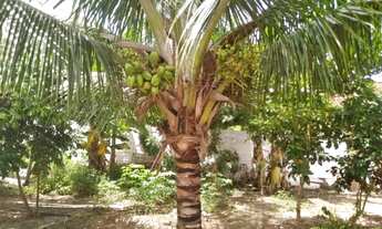 Imagem 5: Casa na linha verde , troco