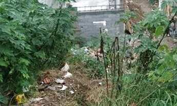 Imagem 5: Terreno c casa Casa com 3 dormitórios