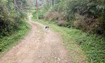 Imagem 3: 4200 mts quadrados com riacho apenas 87 mil reais