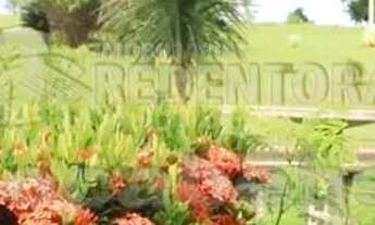 Imagem 3: Terreno Condomínio em Fronteira