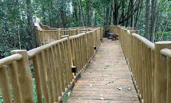 Imagem 6: Excelente oportunidade, 2 (dois) lotes de 275 m2 em frente a mata, totalizando uma área de