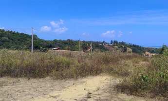 Imagem 5: TERRENO PARIPUEIRA, PRÓXIMO A PRAIA DE TABUBA E SONHO VERDE 10x 20 R$ 40.000,00