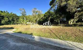 Imagem 3: EXCLUSIVIDADE SONIA BRANDALISE!