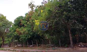 Imagem 5: Locação de Terreno / Padrão na cidade de Fortaleza