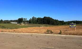 Imagem 3: Terreno Linha Palmeiro Farroupilha