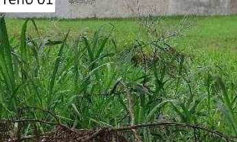 Imagem 4: Terreno à venda, 329 m² por R$ 1.500.000,00 - Camboinhas - Niterói/RJ