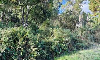 Imagem 6: Terreno à Venda em Gramado!