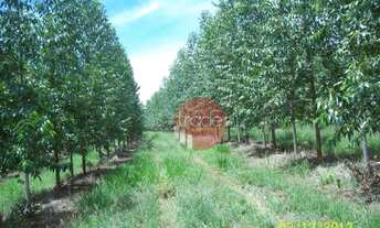 Imagem: Fazenda com 1 dormitório à venda, 8820000