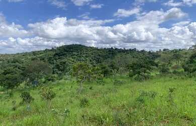 Imagem 6: Fazendinha 20 ha, casa, área de lazer completa com piscina, sauna, campo, quadra,nascente