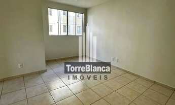 Imagem 3: Apartamento à venda, 3 quartos semimobiliado no Jardim América II - Estrela