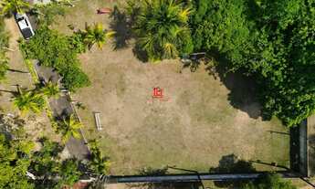 Imagem 6: Chácara com 100x150= 15.000m² de esquina | 100% murado