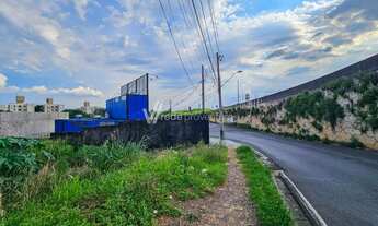 Imagem 6: Terreno - Loteamento Parque São Martinho - Campinas