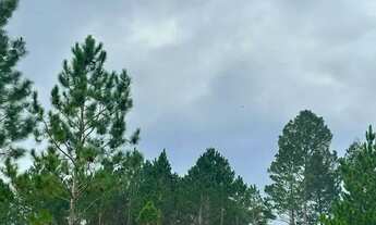 Imagem 6: Terreno em São Roque: Potencial de Valorização, Turismo,Lazer ou Investimento!!NA ROTA DO