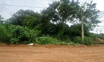 Imagem 4: LOTE A VENDA NO SETOR INDUSTRIAL 512 SUL EM FRENTE AO PARQUE CESAMAR