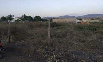 Imagem 2: Venda de um lote