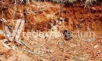 Imagem 7: Terreno - Jardim Guarani - Campinas