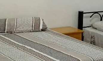 Imagem 3: Chácara porto do mato próximo praia do saco