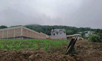 Imagem 2: Terreno bairro Centro, Picada Café.RS REF: 290