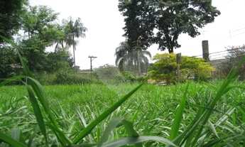 Imagem 3: Loteamento à venda em Vila Hamburguesa - SP