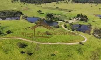 Imagem 2: Fazenda com 294 alqueires, usada na pecuária, ótima localização, rica em água