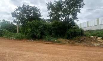 Imagem 3: LOTE A VENDA NO SETOR INDUSTRIAL 512 SUL EM FRENTE AO PARQUE CESAMAR