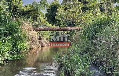 Imagem 2: Fazenda 62 alqueires (300,08 hectares ) Piracanjuba - GO