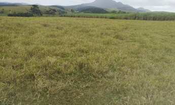 Imagem 2: Venda-se está Propriedade 30 alqueires Localização Campos dos Goytacazes/RJ