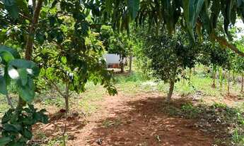 Imagem 5: CHACARA A SUA OPORTUNIDADE