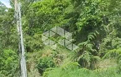 Imagem 6: Terreno com 1.675,00m² A Venda - João Paulo, Florianópolis SC