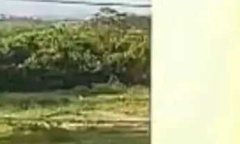 Imagem 7: Apartamento de 2 dormitórios no São Defende - Criciúma - SC